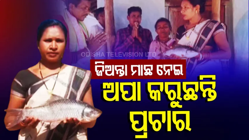 ଜିଅନ୍ତା ମାଛ ନେଇ ପ୍ରଚାର କରୁଛନ୍ତି ଅପା, ମାଛକୁ ଦେଖ ଭୋଟ ଦିଅ...ଜିତିଲେ ଭାତ ଆଉ ମାଛ ଖାଇବ