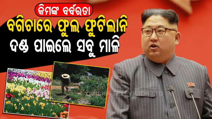 ବାପାଙ୍କ ଶ୍ରାଦ୍ଧ ଦିବସରେ ବଗିଚାରେ ଫୁଲ ଫୁଟିଲାନି, ସବୁ ମାଳିଙ୍କୁ ଦେଲେ କଠୋର ଦଣ୍ଡ