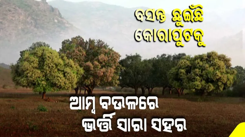 କୋରାପୁଟରେ ବସନ୍ତ ଗାଉଛି ବିରହ ସଙ୍ଗୀତ, ଆସ ମତେ ଥରେ ଶୁଣିଯାଅ