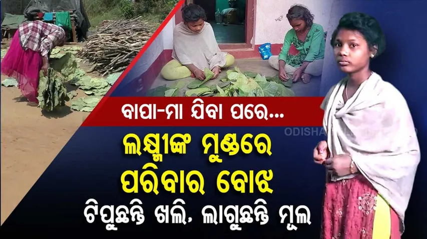 କୁନି ଭାଇଭଉଣୀଙ୍କ ମୁହଁରେ ଆହାର ଦେବାକୁ ଦିନରେ ମୂଲ ଲାଗୁଛନ୍ତି, ସନ୍ଧ୍ୟାରେ ଖଲି ଟିପୁଛନ୍ତି ନାବାଳିକା ଲକ୍ଷ୍ମୀ