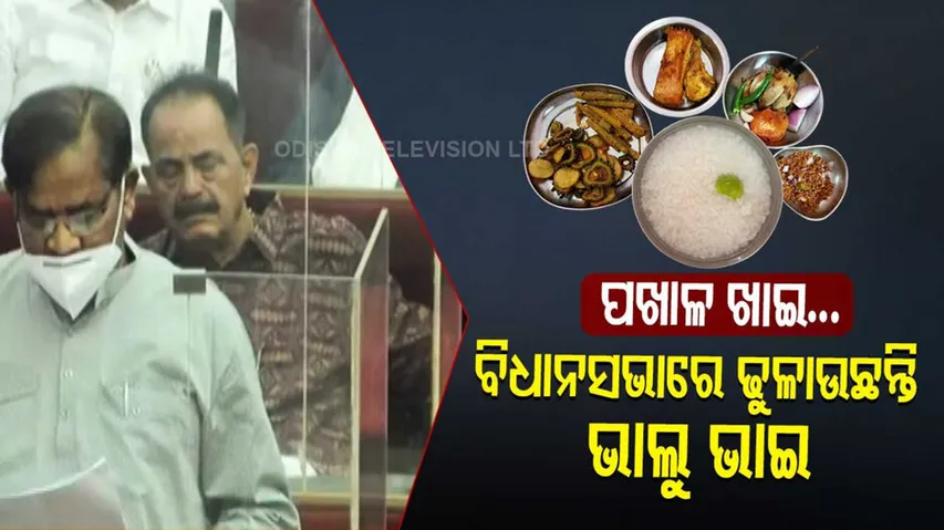 ପେଟେ ପଖାଳ ନାଦି ଦେଇ ଗୃହରେ ଶୋଇ ପଡ଼ିଲେ ଭାଲୁ ଭାଇ...