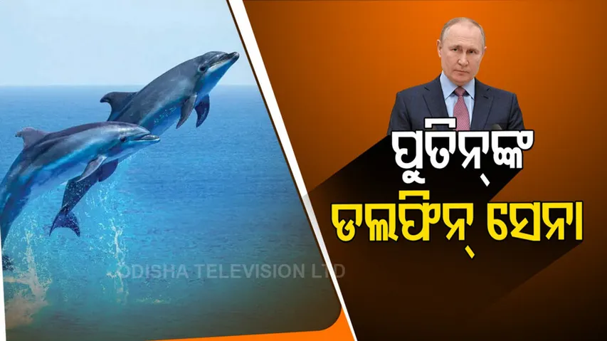 ଏବେ ରୁଷିଆ ସେନାରେ ଡଲଫିନ୍ ସାମିଲ୍
