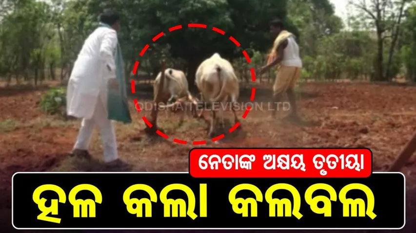 ଯେତେବେଳେ ରାଜନୀତି ଛାଡି ନେତା ହଳ କରନ୍ତି, ସେତେବେଳେ...