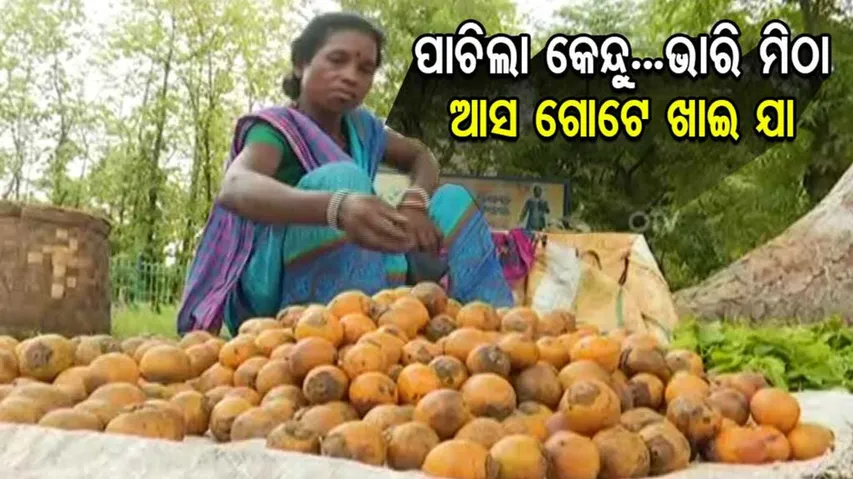 ପାଚିଲା କେନ୍ଦୁ... ଭାରି ମିଠା