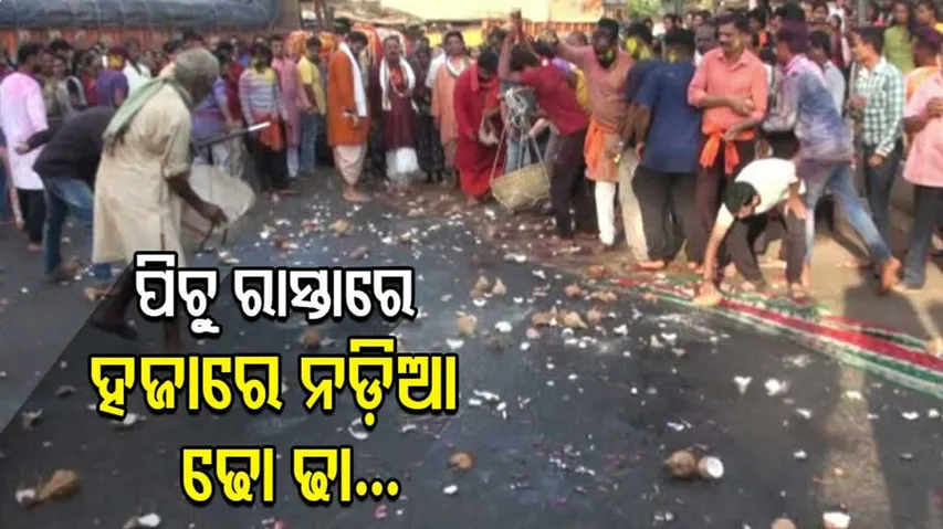 ପିଚୁ ରାସ୍ତାରେ ଫାଟିଲା ଢୋ ଢା ନଡ଼ିଆ, ମଉସା ଗୋଟେଇବାରେ ବ୍ୟସ୍ତ