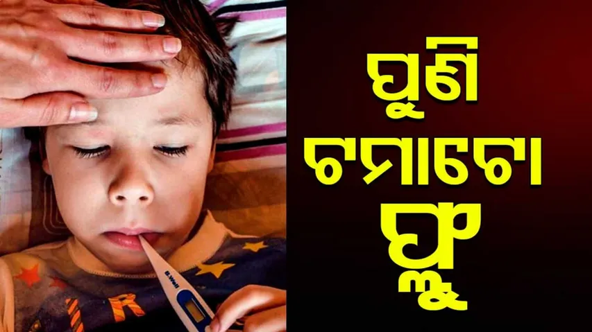 କର୍ଣ୍ଣାଟକରେ ଟମାଟୋ ଫ୍ଲୁ; ସଂକ୍ରମଣକୁ ନେଇ ହାଇ ଆଲର୍ଟ