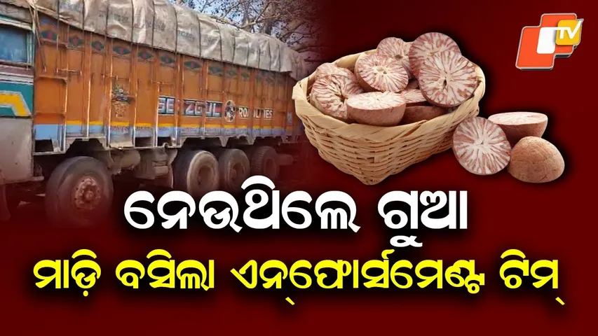 27 Ton Betel Nut-Laden Truck Seized in Sambalpur, GST Enforcement Team Conducts Raid