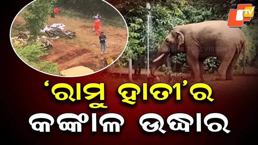 Ramu Elephant’s Skeleton Recovered After 8-Hour Operation in Bharatpur Forest