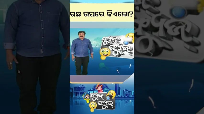 News Fuse | Reel | ଗଛ ଉପରେ କିଏ ଲୋ ? #otv #otvshorts