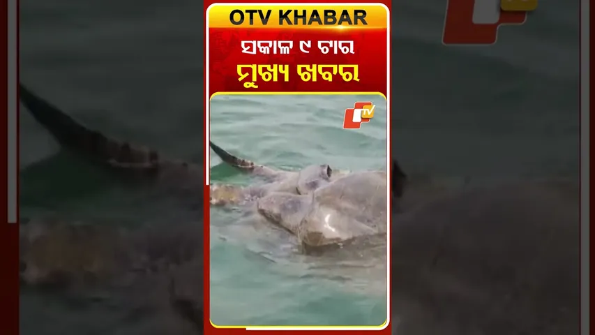ସକାଳ ୯ଟାର ଟପ୍ ହେଡଲାଇନ୍ସ | #OTVHeadlines #9AMHeadlines #TopHeadlines #OTV #Odisha