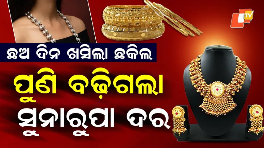 Special Story: Gold, Silver Prices Surge After 6-Day Fall; 24-Carat Gold Jumps Over ₹6,600 in a Day