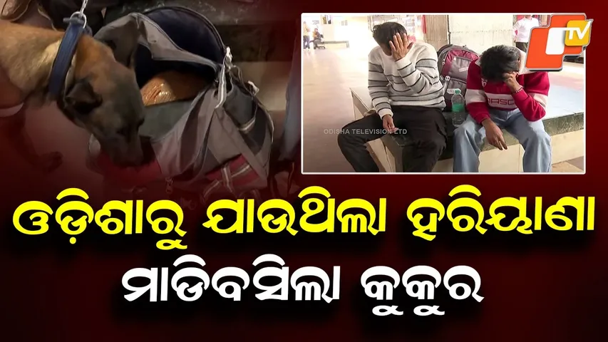 Sniffer Dog Seizes Ganja at Bhubaneswar Railway Station, Two Smugglers Held