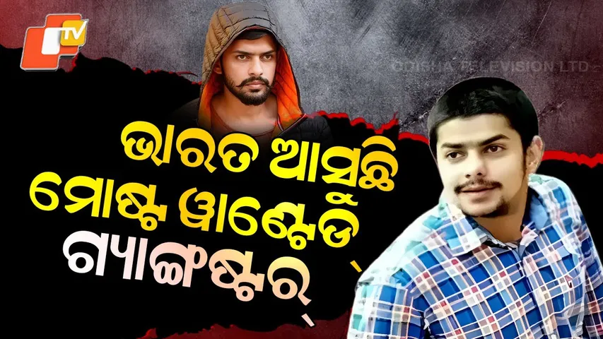 Special Story: Gangster Anmol Bishnoi, Wanted in Baba Siddique Murder Case, Extradited to India