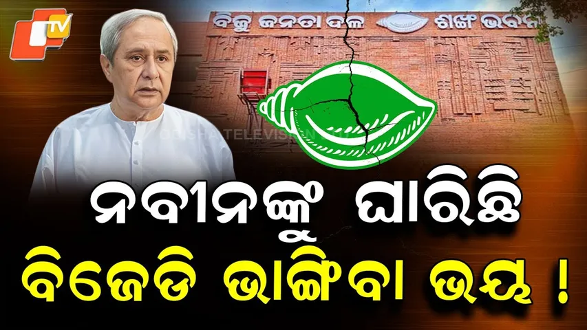 Special Story: BJD Will Never Break: Naveen Patnaik’s Strong Message on Party’s 29th Foundation Day