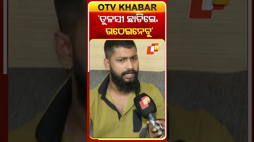 'ତୁଳସୀ ଛାଡିଲେ ଉଠାଇନେବୁ' #jollywood #odiajatra  #odishatv #otv