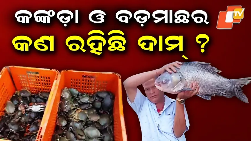 Crab & big fish: What are the prices at the Unit 4 fish market in Bhubaneswar?