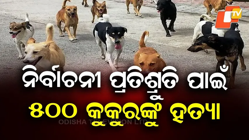 500 Dogs Killed to Fulfil Poll Promise in Telangana
