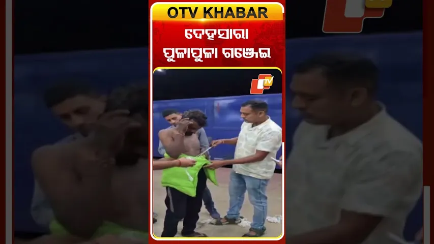 ଦେହସାରା ପୁଳାପୁଳା ଗଞ୍ଜେଇ...#GanjaSiezed #RPF #BolangirPolice #Titilagarh #Bolangir #OTVShorts #OTV