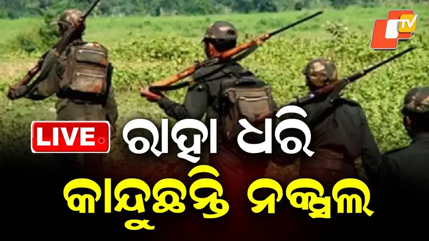 🔴Live | ମୃତ୍ୟୁ ଭୟରେ ରାହା ଧରି କାନ୍ଦୁଛନ୍ତି ନକ୍ସଲ | Maobadi | Naxal | Odisha Police | Odisha News | OTV