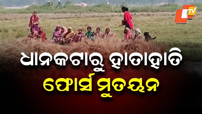 BNS 163 Imposed After Clash Over Paddy Harvesting on Government Land in Kendrapada
