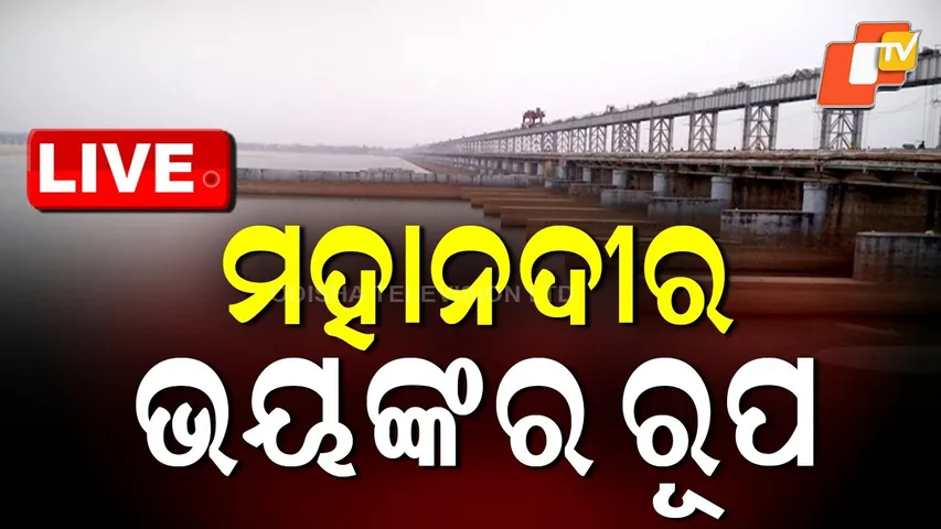 🔴Live | ମହାନଦୀର ଭୟଙ୍କର ରୂପ | Odisha Weather Update | Heavy rain | Odisha Rain | Rain Alert | OTV