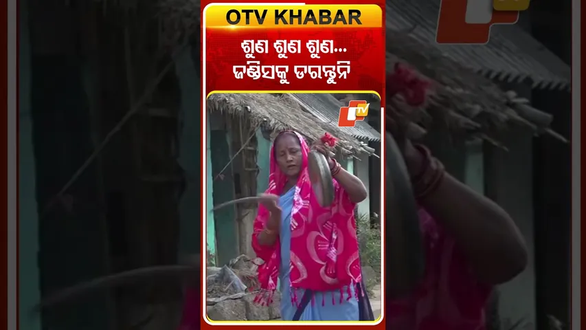 ପିପିଲି, ଡେଲାଙ୍ଗ ଅଚଂଳରେ ବ୍ୟାପୁଛି ଜଣ୍ଡିସ ଆଚି ଘଣ୍ଟ ବାଡେଇ ଗ୍ରାମ ବାସୀଙ୍କୁ ସଚେତନ କଲେ ଆଶା ଦିଦି #OTVShorts