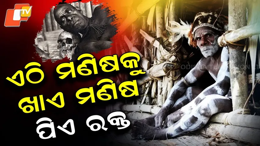 Special Story: The Asmat Tribe: A Chilling Legacy of Ritual Cannibalism in Indonesia