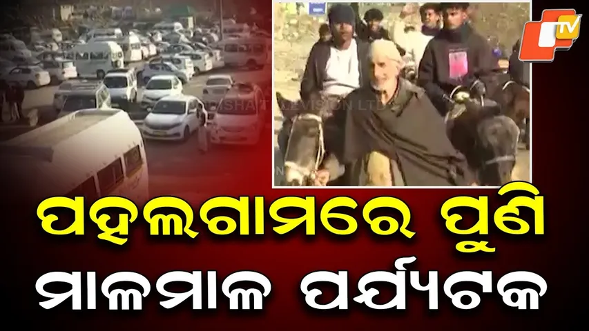 Tourism Revival in Pahalgam: New Year Crowd Returns to Snowy Jammu & Kashmir