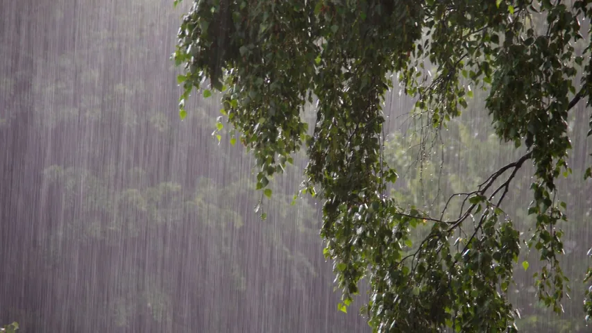 Low pressure forms over BoB: Widespread rain, gusty winds to grip Odisha; no cyclone threat for now: IMD