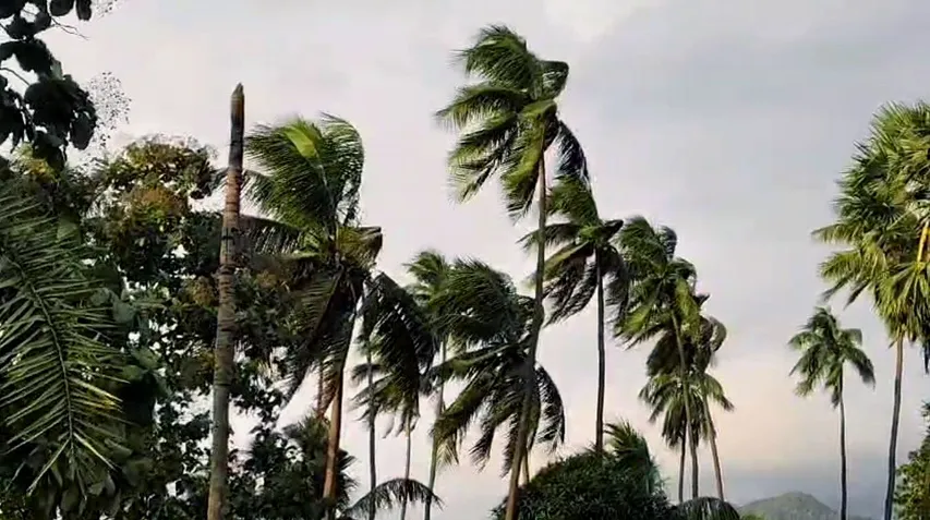 Odisha’s Laxmipur bears the brunt as Cyclone ‘Montha’ unleashes heavy rain, wind gusts