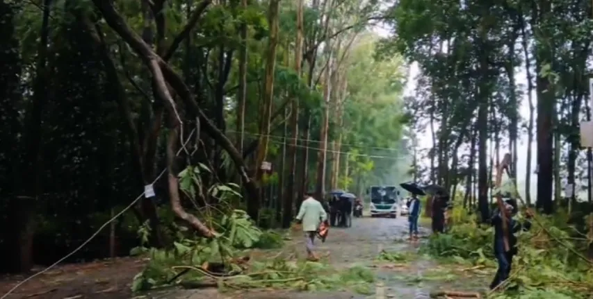 Cyclone Month impact in Odisha: Over 19,0000 evacuated, 33 blocks and 11 urban areas affected, says Minister