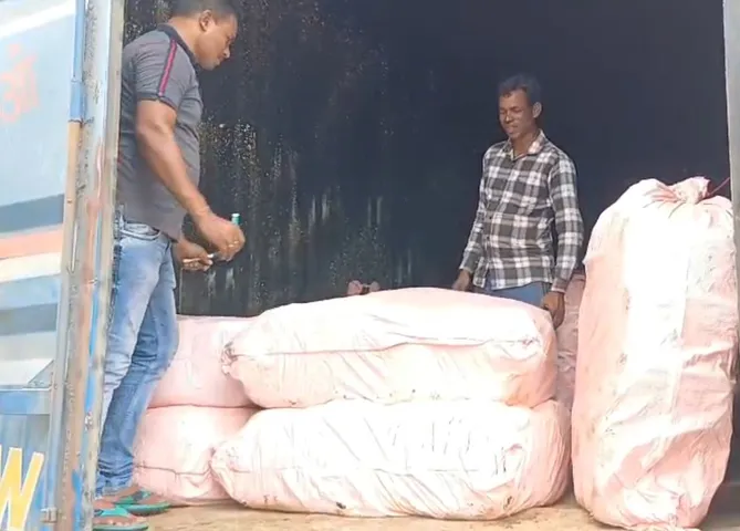 Malkangiri police seize ganja worth Rs 17 crore in 24 hours; 3 UP mafia arrested