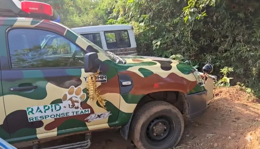 Human skeleton in Bhubaneswar forest sparks foul play suspicion