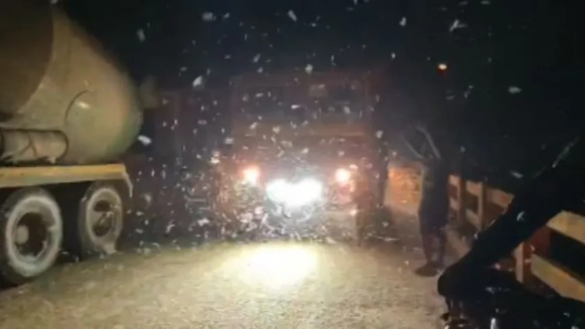 Swarm of insects disrupts traffic, causes chaos on Jajpur bridge