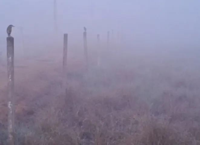 Odisha cold wave: IMD predicts rise in night temperature; Phulbani coldest at 8 degree Celsius