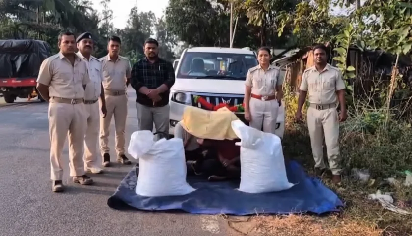 50kg ganja seized
