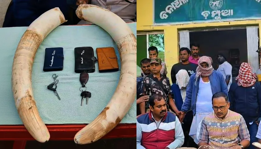 Ivory Sale Foiled in Keonjhar