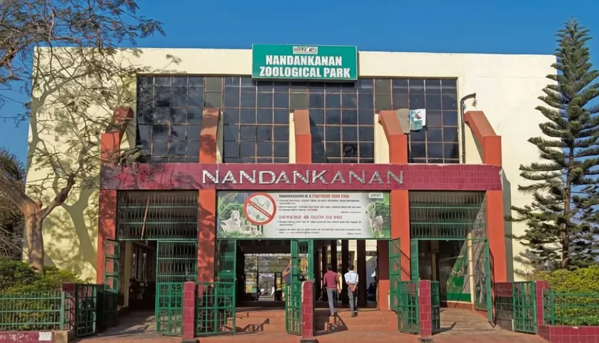 Nandankanan Zoological Park gears up to welcome African Cheetahs