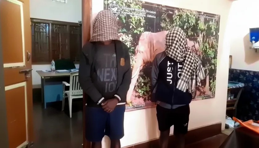 AI cameras help arrest 2 poachers in Odisha forest, firearms seized