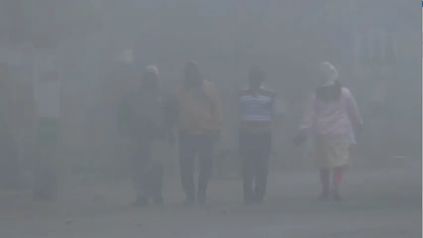 Odisha records season’s lowest temperature amid widespread fog