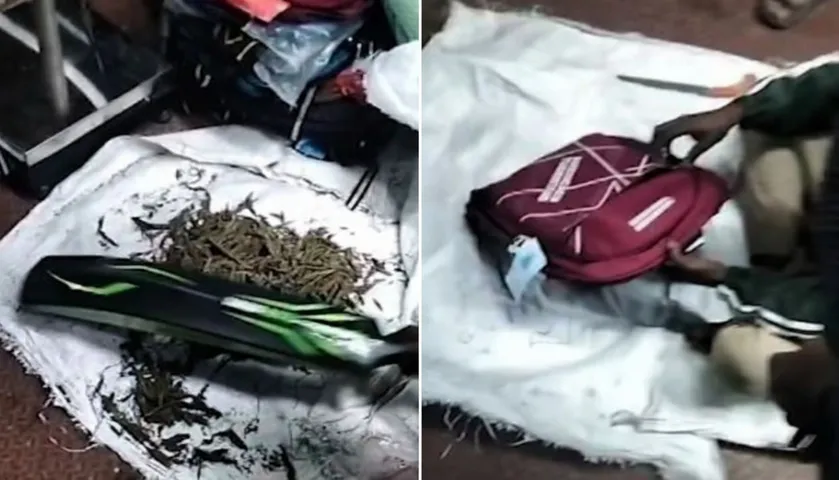 School bags and cricket bats used to smuggle ganja
