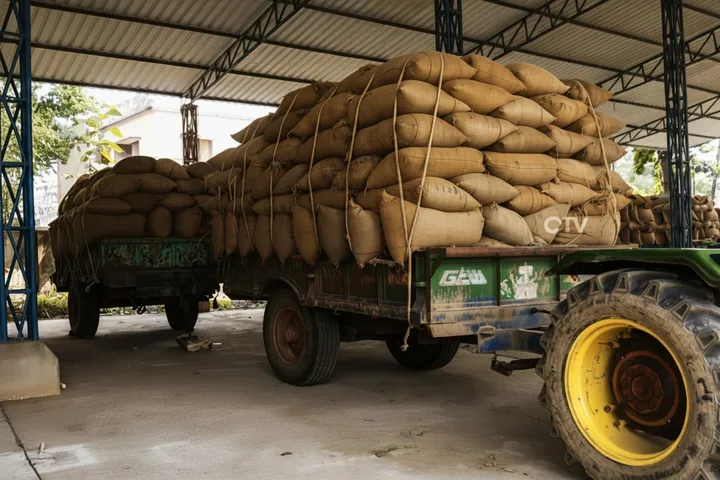 Odisha govt assures paddy procurement for all farmers