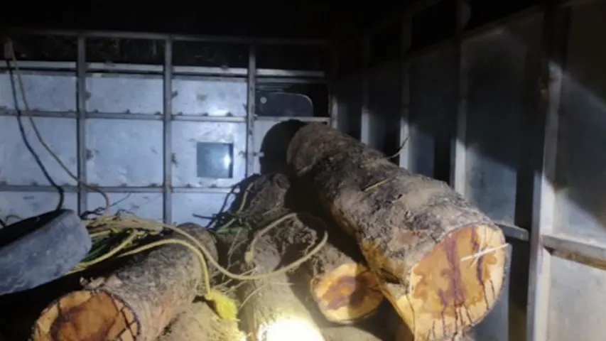 Timber mafia snatch seized vehicle from Forest Department in Balasore