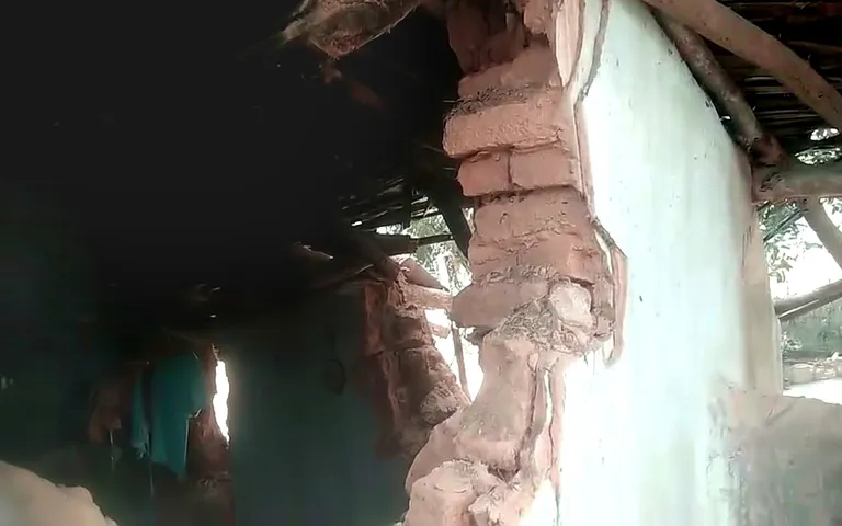 2 wild elephants wreck houses, devour grains in Odisha’s Keonjhar