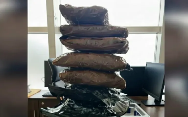 Rs 4 Crore Worth Of Marijuana Seized At Bhubaneswar Airport; New Year Supply Suspected