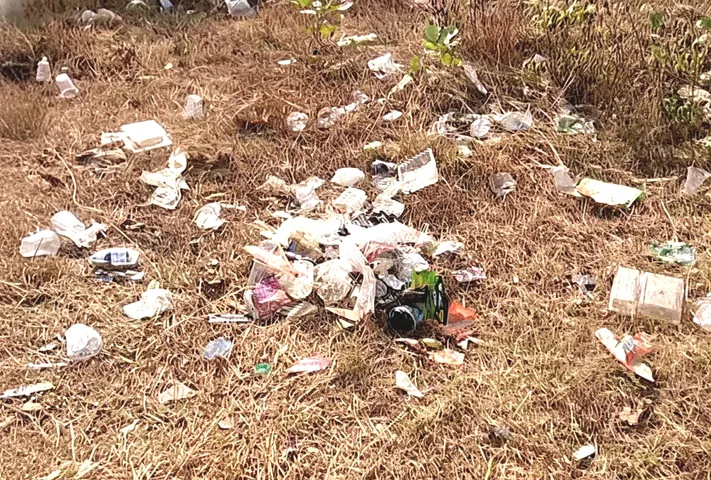 Pollution during picnicking to invite stern action; SPCB to monitor picnic sites Odisha Minister