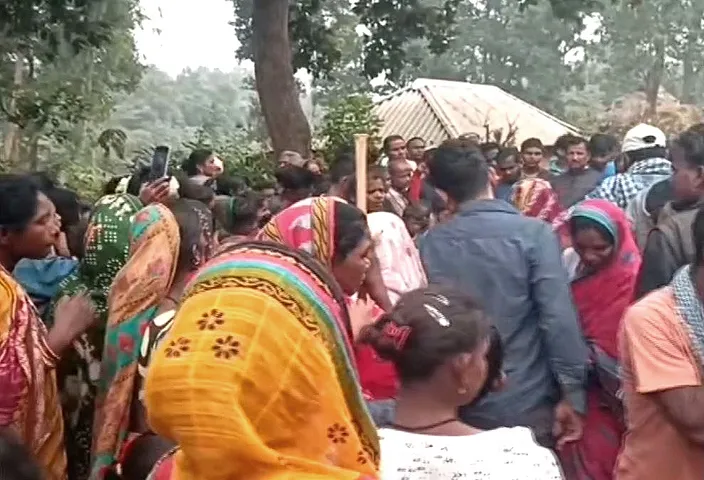 Odisha woman killed in elephant attack near Kuldiha Wildlife Sanctuary