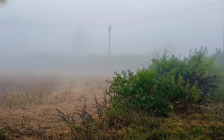 Bhubaneswar breaks 13-year-old record as mercury drops to 9.4 deg C