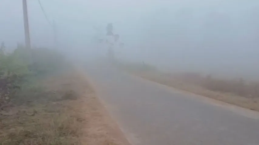 Odisha reels under severe cold