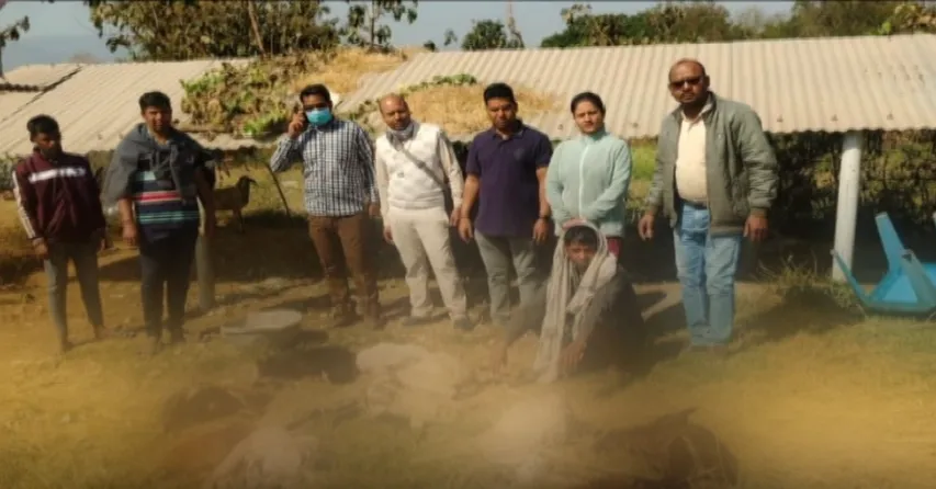 Panic in Ganjam after unknown animal kills livestock in Batagarh village